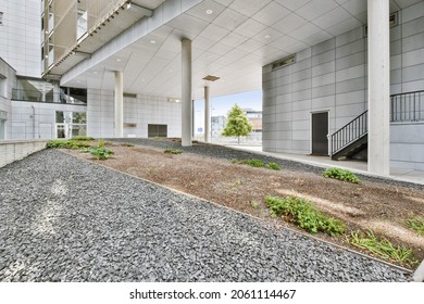 Beautiful View Of A Residential Building Yard