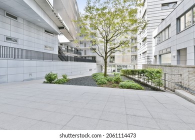 Beautiful View Of A Residential Building Yard