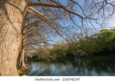 A Beautiful View Of  Rio Vista Park San Marcos TX