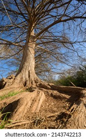 A Beautiful View Of  Rio Vista Park San Marcos TX