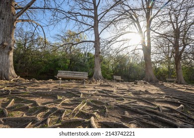 A Beautiful View Of  Rio Vista Park San Marcos TX