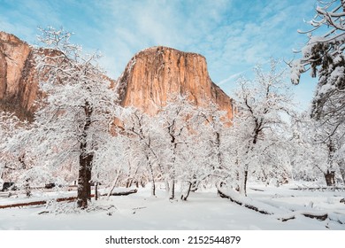 A beautiful view of rocky cliffs with snow trees ground against a cloudy blue sky in Yosemite National Park in California, USA - Powered by Shutterstock