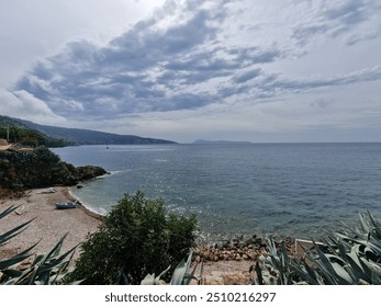 A beautiful view of a rocky coast meeting the sea, with a few coastal plants in the foreground and a partly cloudy sky reflecting off the water.
 - Powered by Shutterstock