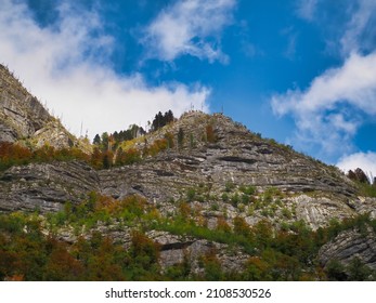A beautiful view of rockymountains of Bohinj in Slovenia covered by the forest with autumn colors