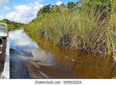 Beautiful View Of Safari During Airboat Tour. Safari Park. Airboat Rides. Miami. Florida.