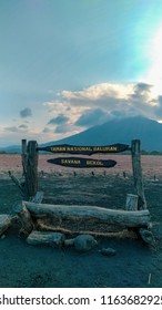 Beautiful View Of Savana Bekol, Baluran National Park.