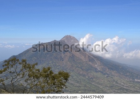 Beautiful view of the savanna of Mount Merbabu, Central Java, Indonesia. Background image of Mount Merapi above 2500 meters above sea level