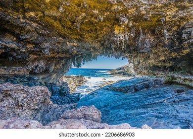 A beautiful view of a seaside Admirals Arch cave in Kangaroo Island, Australia