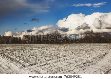 beautiful view of a snow-covered field with yellow grass against a background of autumn forest, blue sky with white clouds on a sunny morning