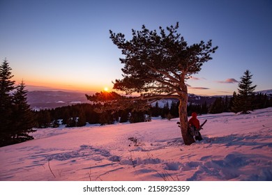 A Beautiful View Of A Snowy Field With Trees At Pink Sunset