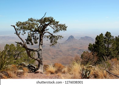 Beautiful view from South Rim in Big Bend Nationalpark