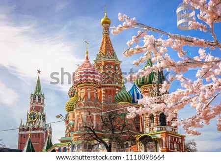 beautiful view of St. Basil's Cathedral. The bloom of Sakura in Moscow. spring season. Russia, the Kremlin Moscow spring