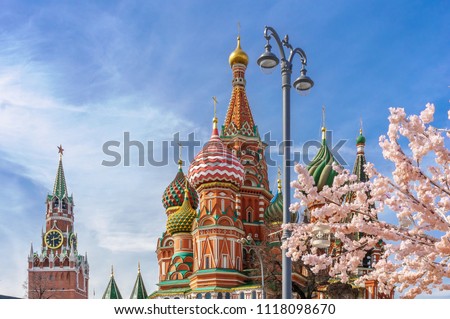 beautiful view of St. Basil's Cathedral. The bloom of Sakura in Moscow. spring season. Russia, the Kremlin Moscow spring
