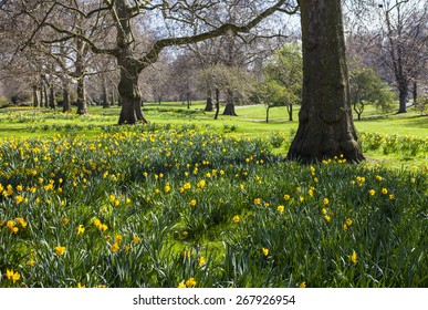 A Beautiful View Of St. Jamess Park In London During Spring.