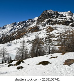 Beautiful View Of Stelvio National Park