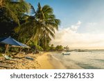 Beautiful view of the stunning tropical beach at Grand Baie, Mauritius, with fine sand and lined with coconut trees at sunset during the golden hour