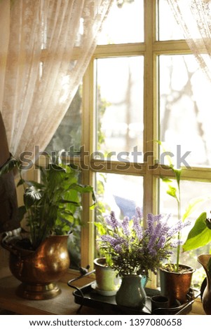 Similar – Woman makes bouquet in living room