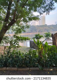 Beautiful View Of Sunter Lake At Hutan Kota Kemayoran 