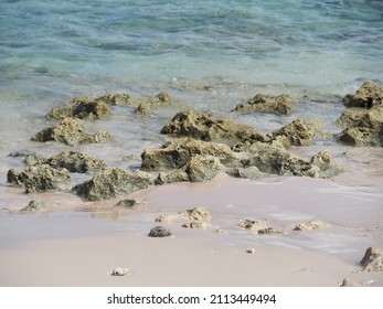 Beautiful View In Tablolong Beach Kupang Indonesia