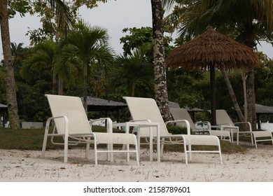 Beautiful view at treasure bay bintan with some coconut trees, lounge chairs