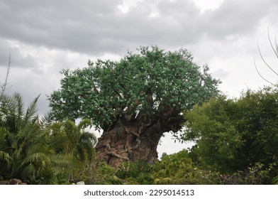 Beautiful view of Tree of Life at Animal Kingdom at Walt Disney