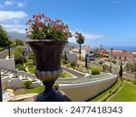 A beautiful view of the tropical garden Los Jardines del Marquesado de la Quinta Roja, La Orotava, Tenerife. Park with flowers, palms and historical buildings.