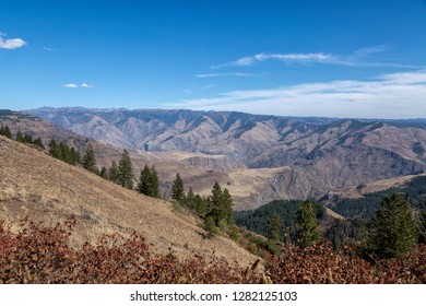 144 Floresta Nacional Wallowa Whitman Images, Stock Photos & Vectors ...