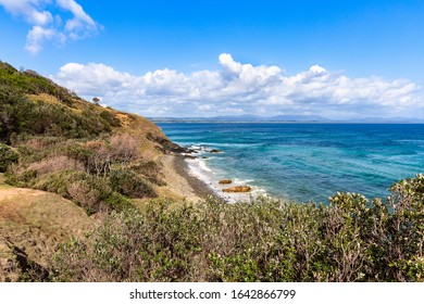 Beautiful view of Wategos beach, Byron Bay coastline. Nature of New South Wales, East coast of Australia.