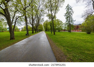 Beautiful View Of Wet Asphalt Road In Park On Rainy Spring Day. Sweden.