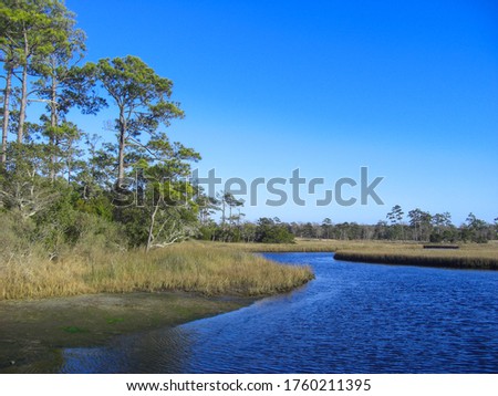 Beautiful view of the wetlands of Cedar Point Park, North Carolina, USA in January 2015. A river leads into the Atlantic ocean. Pine trees are on the left side.