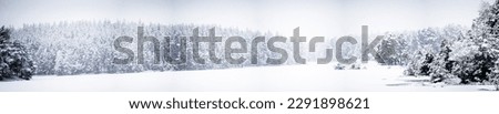 Image, Stock Photo Winter Forest on Speed