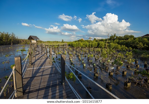 A beautiful view of the\
wooden bridge for nature trail mangrove forest, Muang Chonburi,\
Thailand.
