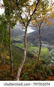 Beautiful View(landscape) From The Top Of Via Ferrata Loen Norway In Autumn