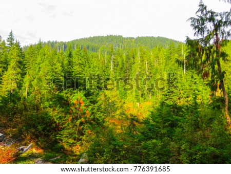 Beautiful views, near Vancouver, in British Columbia, September 2014.Canada