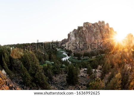 Similar – Image, Stock Photo ray of hope trees Shadow