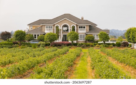 Beautiful Villa Surrounded By Vineyard In Countryside. Surrey, BC, Canada-July 2,2021. Travel Photo, Nobody, Copy Space