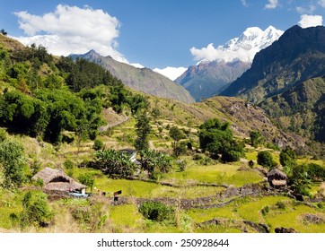 3,654 India country side Images, Stock Photos & Vectors | Shutterstock