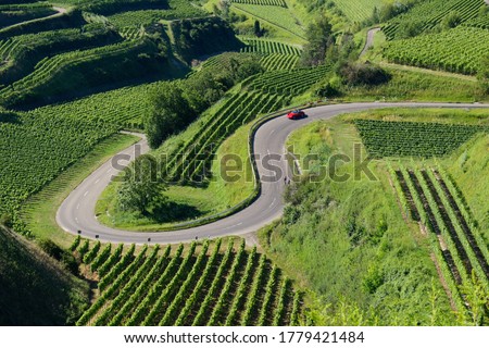 Beautiful vineyard landscape showing a red car driving down a curvy mountain pass road at the Kaiserstuhl, Germany. 