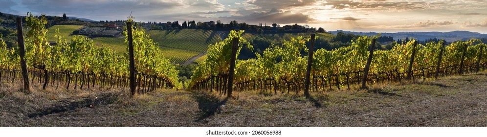 Beautiful vineyards with cloudy skies in the Chianti Classico region near Greve in Chianti. Italy