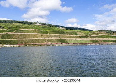 Beautiful Vineyards At  The Rhine Valley In Ruedesheim With Cargo Train