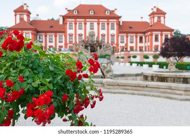 English Walkway Images Stock Photos Vectors Shutterstock