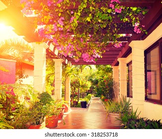 Beautiful vintage landscaped terrace of a house with flowers. Interior of cozy veranda with beautiful plants. Vintage style. Garden. Beauty hotel Courtyard in Mexico over sunset. Vacation - Powered by Shutterstock