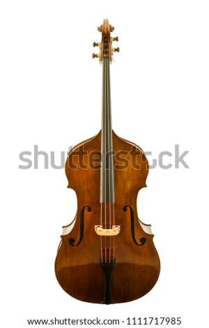 Beautiful vintage viola isolated on white background, clipping path