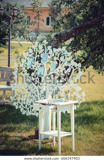 Beautiful Vintage Wedding Ceremony Outdoors Summertime Parks