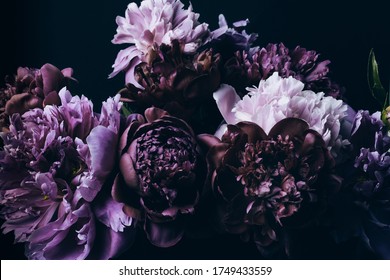 Beautiful Violet peonies bouquet on black. Floral background. Natural flowers pattern. - Shutterstock ID 1749433559