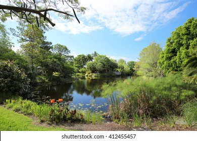 Beautiful vista of Mounts Botanical Gardens in Palm Beach, Florida, USA