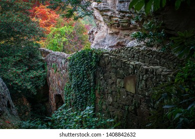 Beautiful Walk In The Parks In Rock City Tennessee 