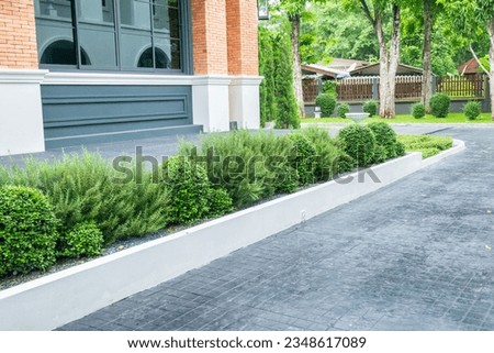 Beautiful Walkway and bush in spring garden with concrete pavement with nature for walking along and connecting different section of a building park,Pathways with green lawns.