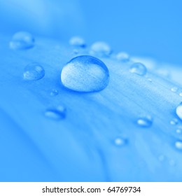 Beautiful water drop on blue petals, super macro