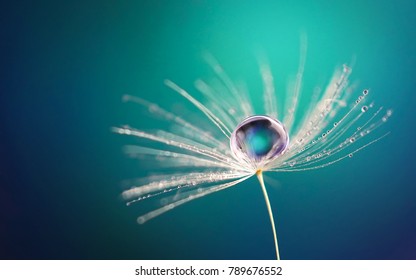 Beautiful water drop on a dandelion flower seed macro in nature. Beautiful deep saturated blue and turquoise background, free space for text. Bright colorful expressive artistic image form.